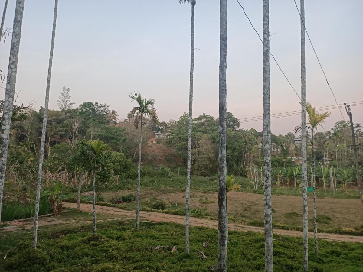 Bethel Service Villa, Mananthavady, Wayanad Ngoại thất bức ảnh